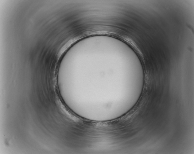 X0000099530890200805160722