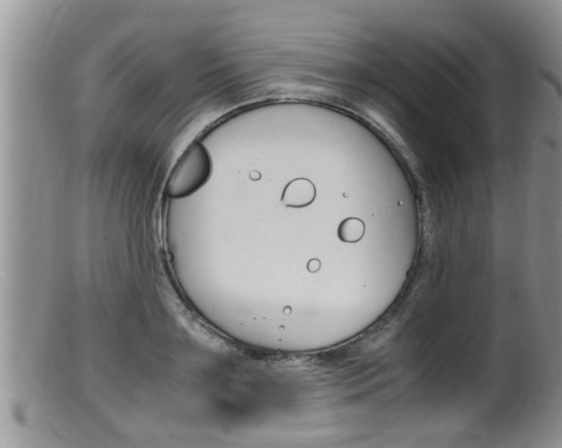 X0000099530891200805160722