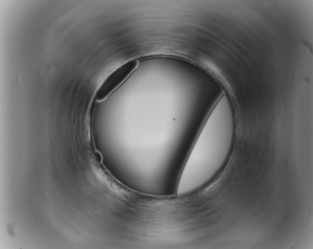 X0000099530892200805160722