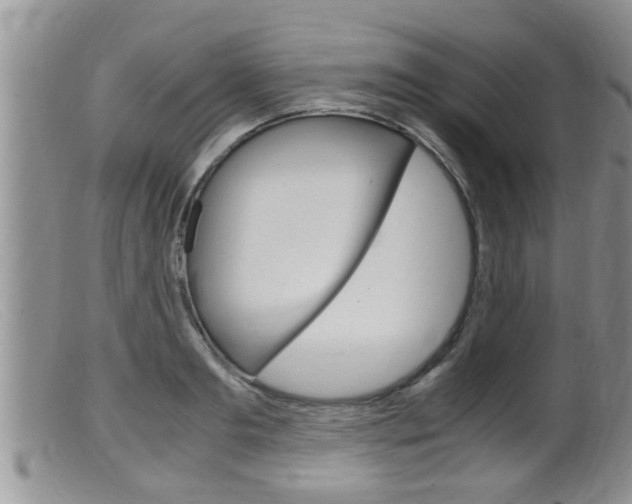 X0000099530893200805160722