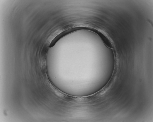 X0000099530897200805160722