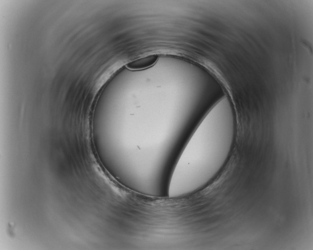 X0000099530898200805160722