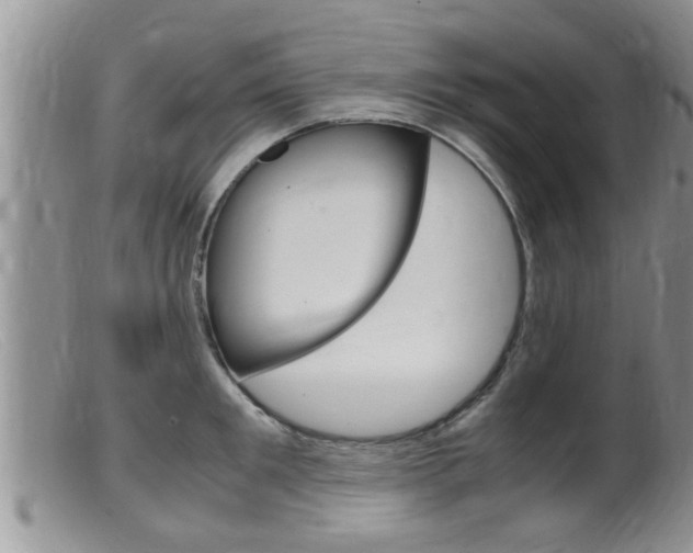 X0000099530901200805160722