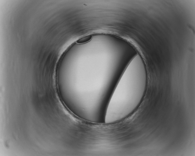 X0000099530902200805160722