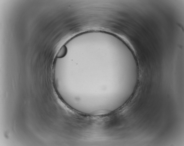 X0000099530903200805160722