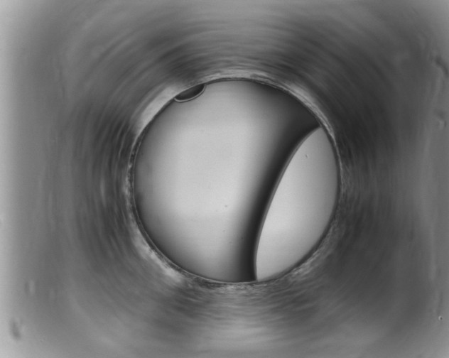 X0000099530906200805160722