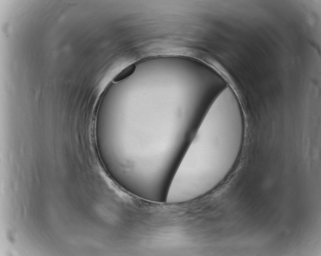 X0000099530909200805160722