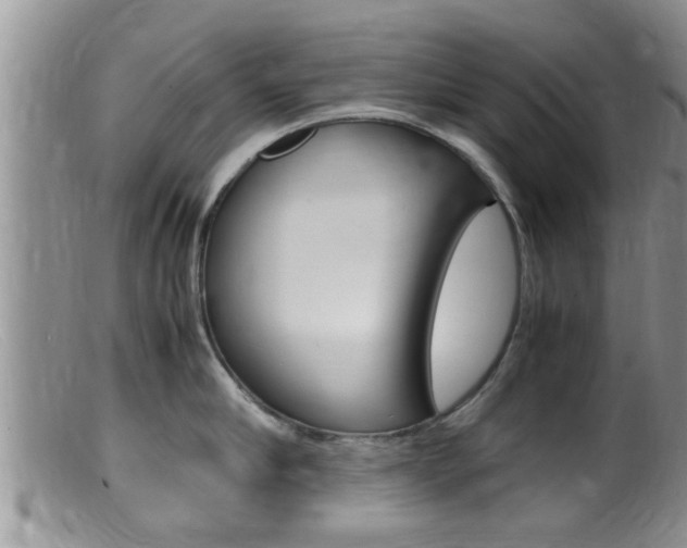 X0000099530910200805160722