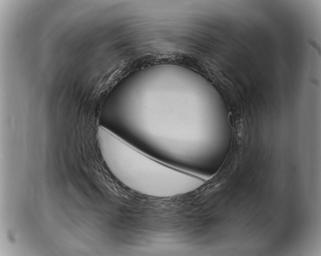 X0000099530916200805160721