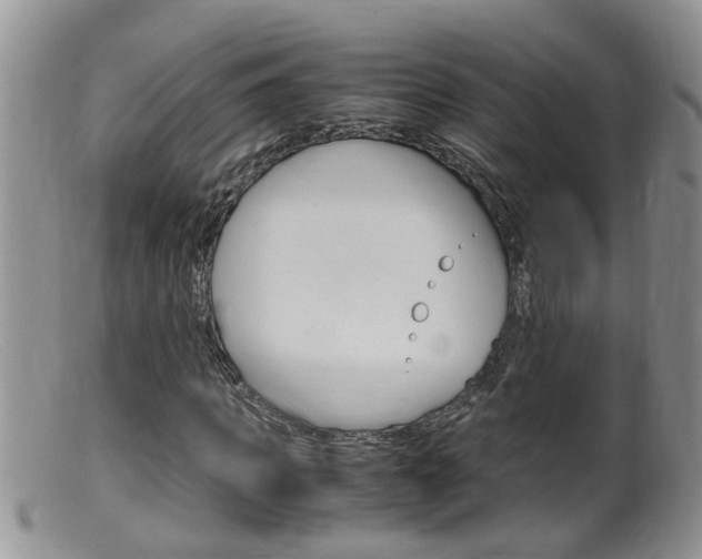 X0000099530917200805160721