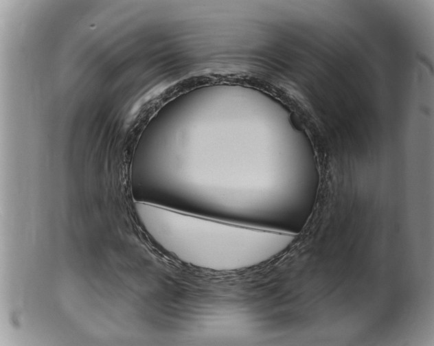 X0000099530920200805160721