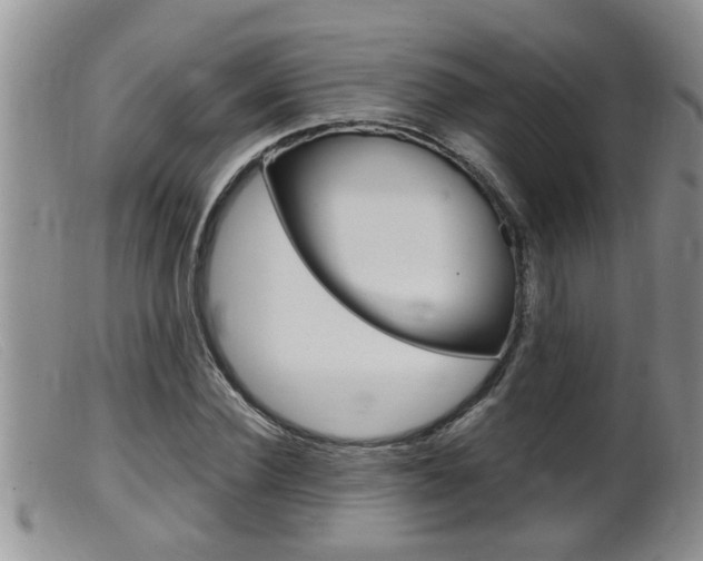 X0000099530924200805160721