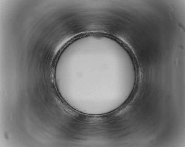 X0000099530925200805160721