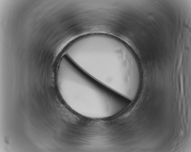 X0000099530926200805160721