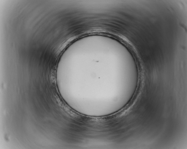 X0000099530929200805160721