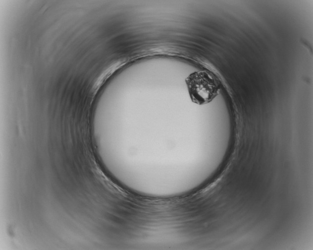 X0000099530930200805160721