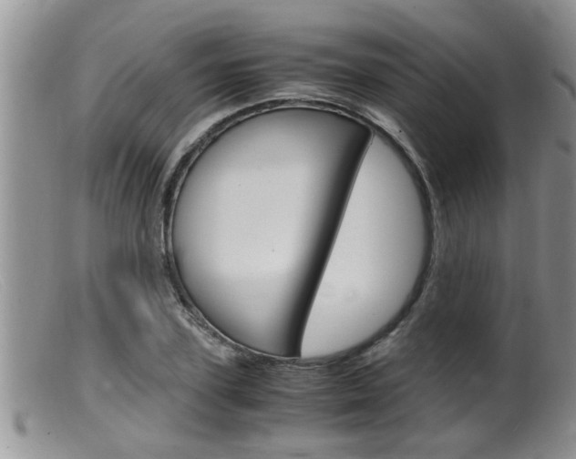 X0000099530931200805160721