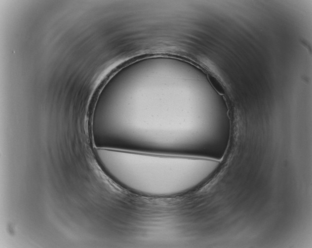 X0000099530932200805160721