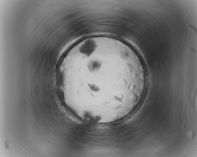 X0000099530933200805160722