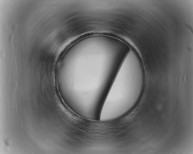 X0000099530935200805160722