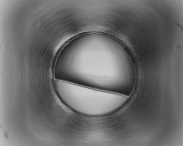 X0000099530936200805160722