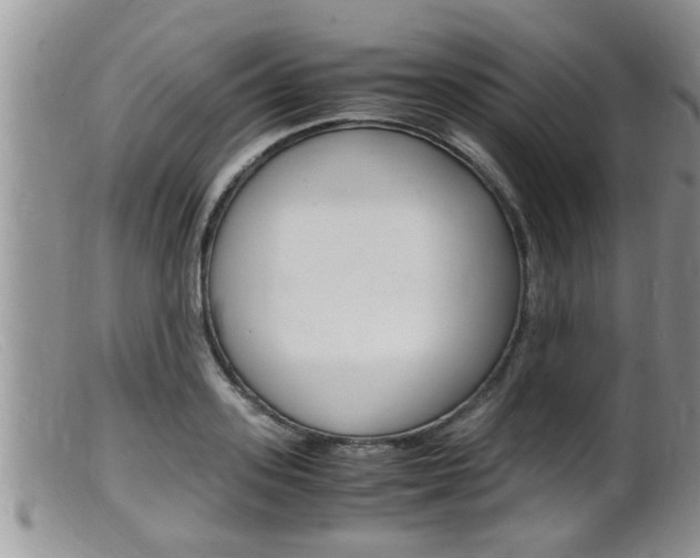 X0000099530939200805160722