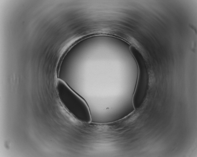 X0000099530940200805160722