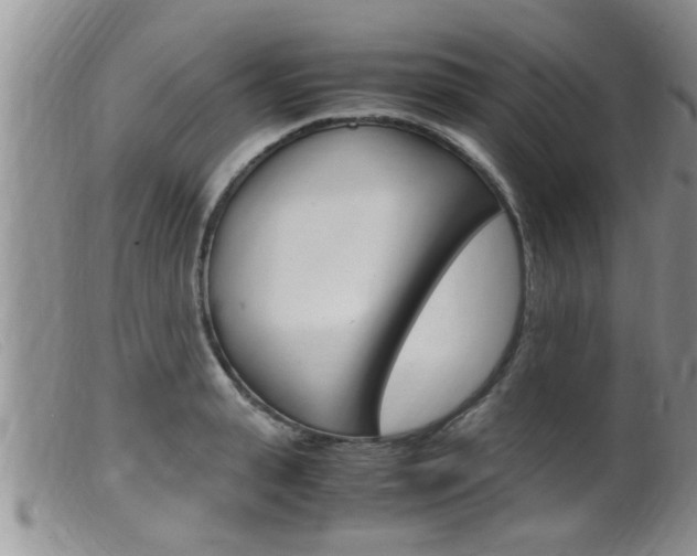 X0000099530943200805160722