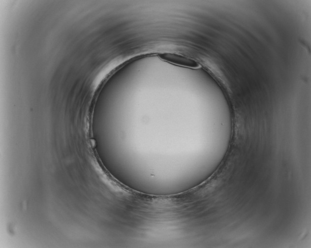 X0000099530944200805160722