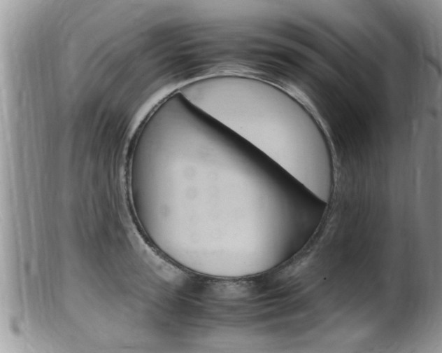 X0000099530947200805160722
