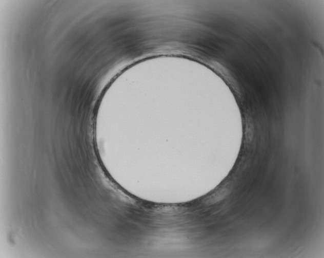 X0000099530950200805160722