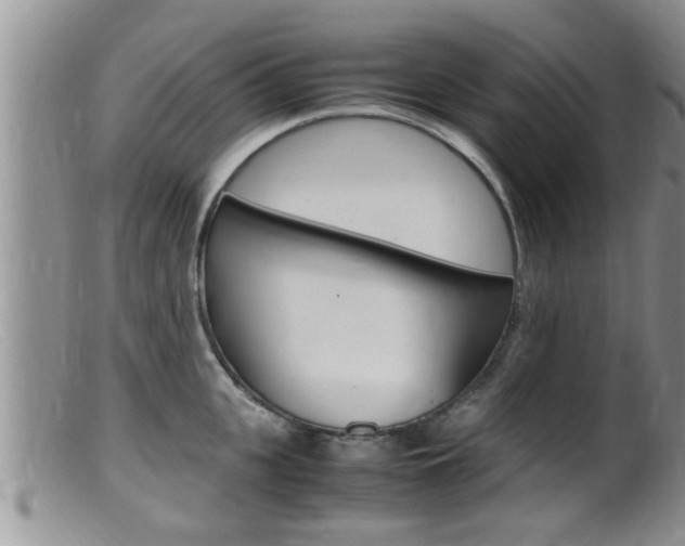 X0000099530951200805160722