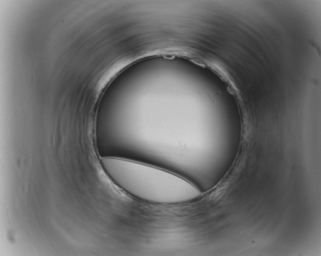 X0000099530952200805160722