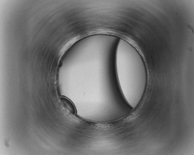 X0000099530954200805160722