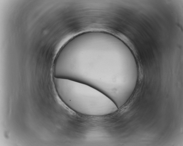X0000099530958200805160722