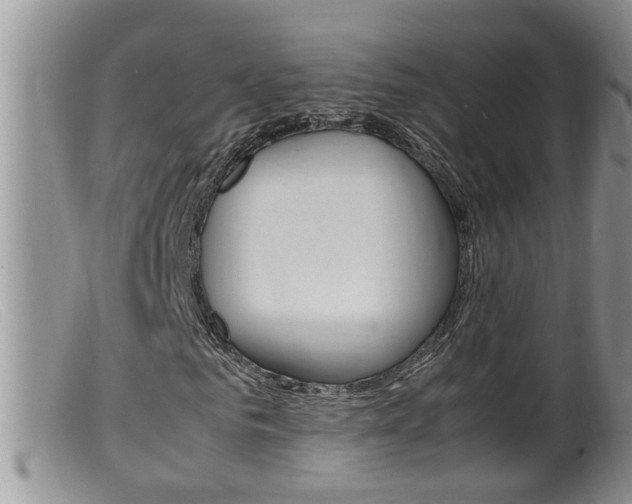 X0000099530961200805160721