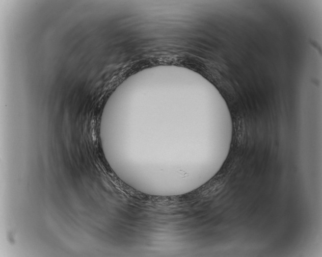 X0000099530962200805160721