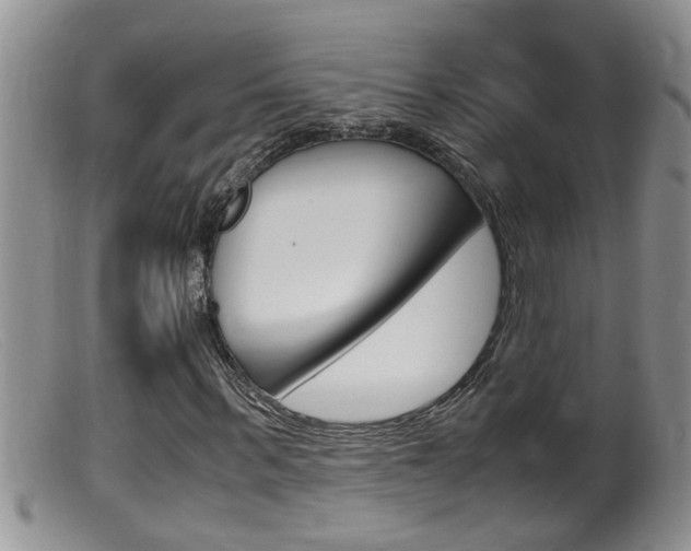 X0000099530963200805160721