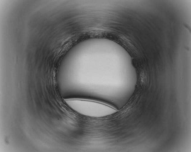 X0000099530964200805160721