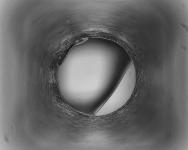 X0000099530965200805160721