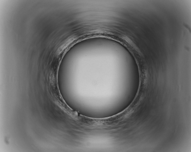 X0000099530969200805160721
