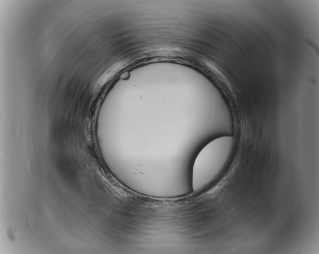 X0000099530970200805160721