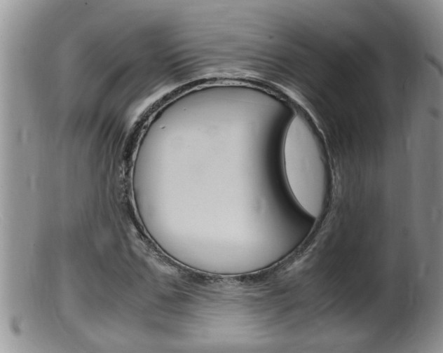 X0000099530971200805160721