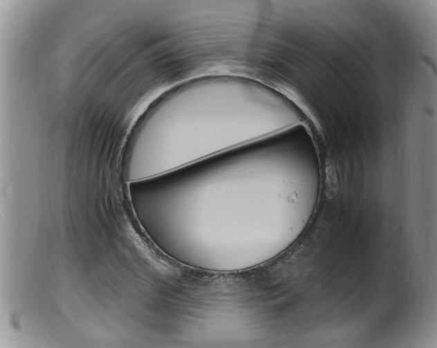X0000099530972200805160721