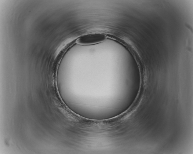 X0000099530973200805160721
