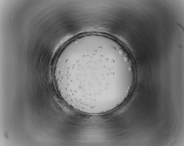 X0000099530974200805160721