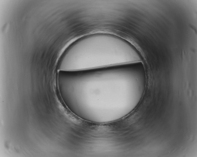 X0000099530984200805160721