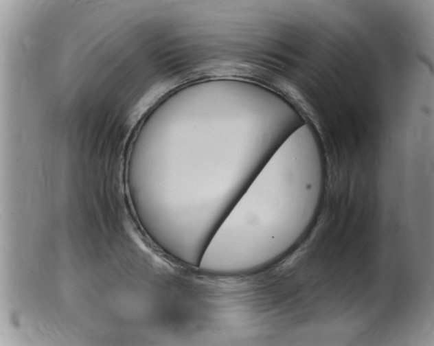X0000099530986200805160721