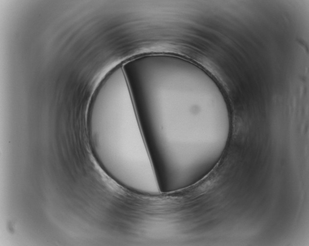 X0000099530988200805160721