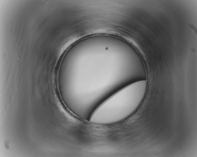 X0000099530991200805160721